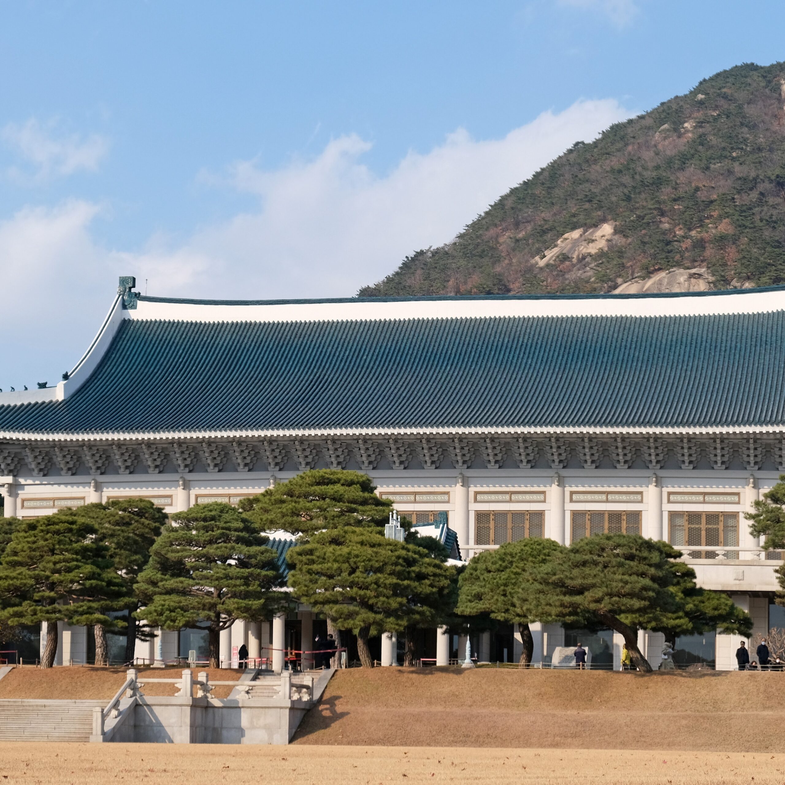 Blue_House_Seoul_3